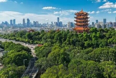 足球比分的意义-足球比分，赛场背后的深层意义